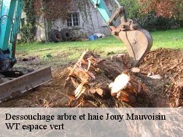Dessouchage arbre et haie jouy-mauvoisin-78200 WT espace vert