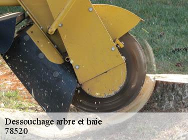 Dessouchage arbre et haie limay-78520 WT espace vert