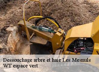 Dessouchage arbre et haie les-mesnuls-78490 WT espace vert