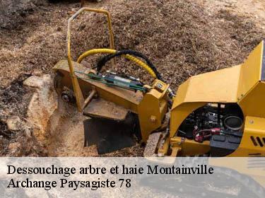 Dessouchage arbre et haie  montainville-78124 Archange Paysagiste 78