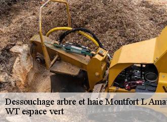 Dessouchage arbre et haie montfort-l-amaury-78490 WT espace vert
