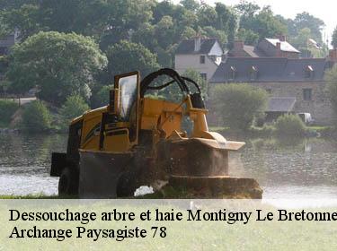 Dessouchage arbre et haie  montigny-le-bretonneux-78180 Archange Paysagiste 78