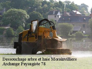 Dessouchage arbre et haie  morainvilliers-78630 Archange Paysagiste 78