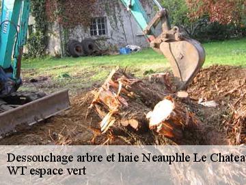 Dessouchage arbre et haie neauphle-le-chateau-78640 WT espace vert