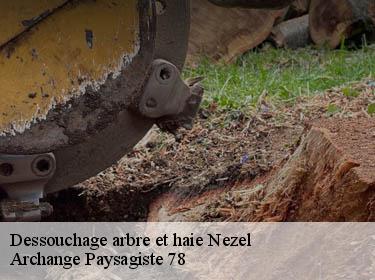 Dessouchage arbre et haie  nezel-78410 Archange Paysagiste 78