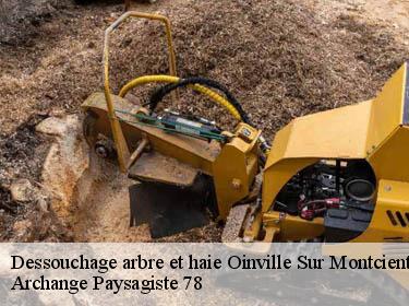 Dessouchage arbre et haie  oinville-sur-montcient-78250 Archange Paysagiste 78