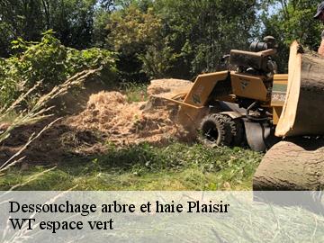 Dessouchage arbre et haie plaisir-78370 WT espace vert