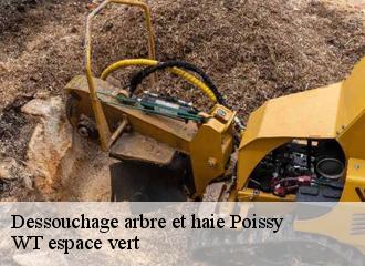 Dessouchage arbre et haie poissy-78300 WT espace vert