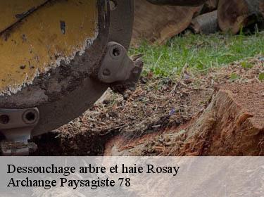 Dessouchage arbre et haie  rosay-78790 Archange Paysagiste 78