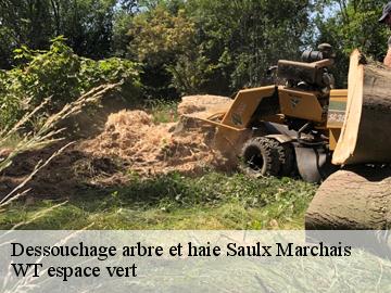 Dessouchage arbre et haie saulx-marchais-78650 WT espace vert