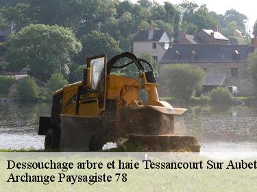 Dessouchage arbre et haie  tessancourt-sur-aubette-78250 Archange Paysagiste 78
