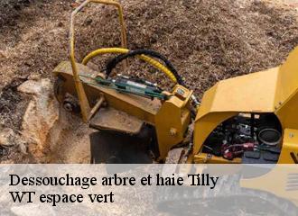 Dessouchage arbre et haie  tilly-78790 WT espace vert 