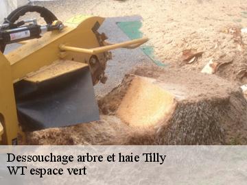 Dessouchage arbre et haie  tilly-78790 WT espace vert 