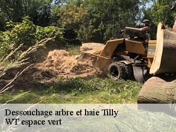 Dessouchage arbre et haie  tilly-78790 WT espace vert 