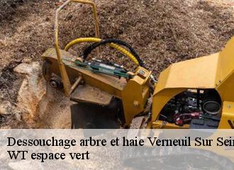 Dessouchage arbre et haie  verneuil-sur-seine-78480 Archange Paysagiste 78