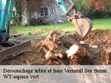 Dessouchage arbre et haie  verneuil-sur-seine-78480 Archange Paysagiste 78