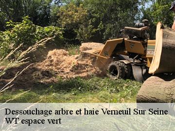 Dessouchage arbre et haie  verneuil-sur-seine-78480 Archange Paysagiste 78