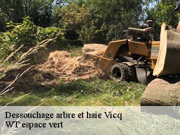 Dessouchage arbre et haie vicq-78490 WT espace vert