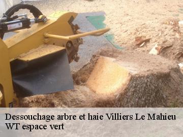 Dessouchage arbre et haie villiers-le-mahieu-78770 WT espace vert
