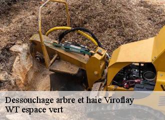 Dessouchage arbre et haie viroflay-78220 WT espace vert
