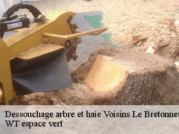 Dessouchage arbre et haie voisins-le-bretonneux-78960 WT espace vert