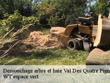Dessouchage arbre et haie val-des-quatre-pignons-78650 WT espace vert