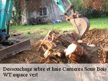 Dessouchage arbre et haie carrieres-sous-bois-78600 WT espace vert
