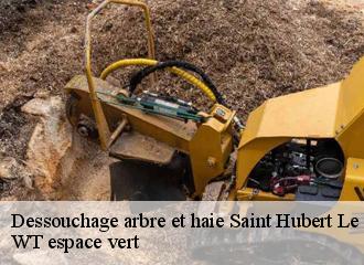 Dessouchage arbre et haie  saint-hubert-le-roi-78690 WT espace vert 