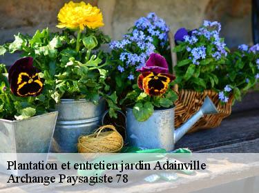 Plantation et entretien jardin  adainville-78113 Archange Paysagiste 78