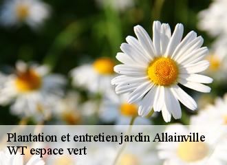 Plantation et entretien jardin allainville-78660 WT espace vert