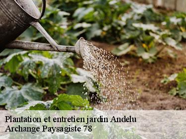Plantation et entretien jardin  andelu-78770 Archange Paysagiste 78