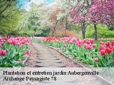 Plantation et entretien jardin  aubergenville-78410 Archange Elagage