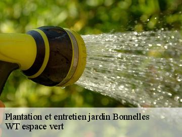 Plantation et entretien jardin bonnelles-78830 WT espace vert