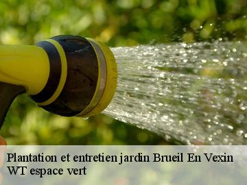 Plantation et entretien jardin brueil-en-vexin-78440 WT espace vert