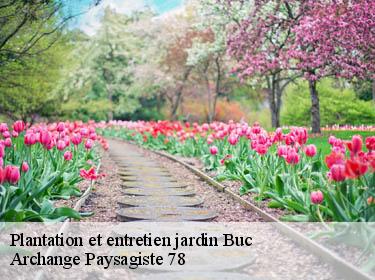 Plantation et entretien jardin  buc-78530 Archange Paysagiste 78