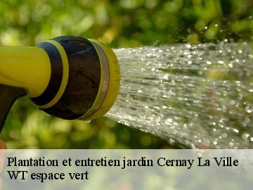 Plantation et entretien jardin cernay-la-ville-78720 WT espace vert