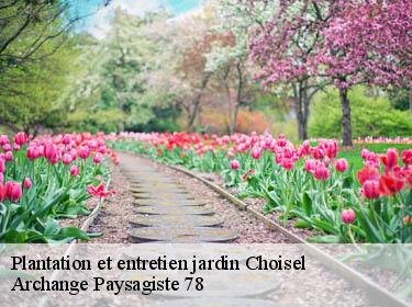 Plantation et entretien jardin  choisel-78460 Archange Paysagiste 78
