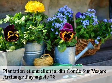 Plantation et entretien jardin  conde-sur-vesgre-78113 Archange Paysagiste 78