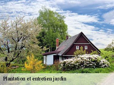 Plantation et entretien jardin  conde-sur-vesgre-78113 Archange Paysagiste 78