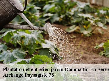 Plantation et entretien jardin  dammartin-en-serve-78111 Archange Paysagiste 78