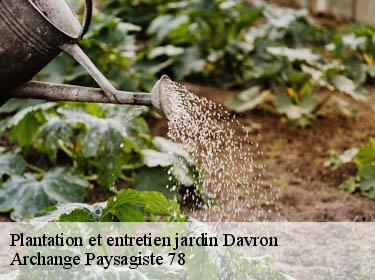 Plantation et entretien jardin  davron-78810 Archange Paysagiste 78