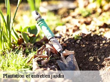 Plantation et entretien jardin  davron-78810 Archange Paysagiste 78