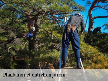 Plantation et entretien jardin  ecquevilly-78920 Archange Paysagiste 78