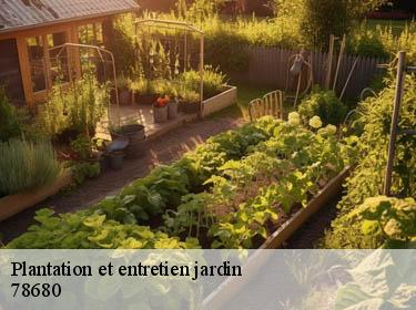 Plantation et entretien jardin  epone-78680 Archange Paysagiste 78