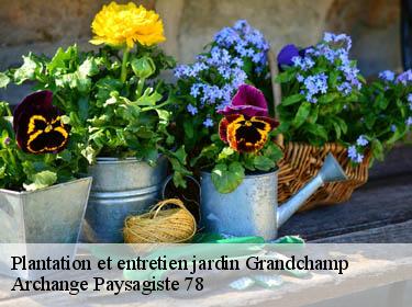 Plantation et entretien jardin  grandchamp-78113 Archange Paysagiste 78