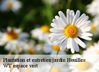 Plantation et entretien jardin houilles-78800 WT espace vert