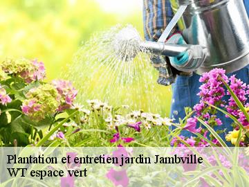 Plantation et entretien jardin jambville-78440 WT espace vert