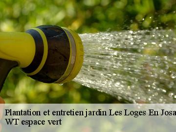 Plantation et entretien jardin les-loges-en-josas-78350 WT espace vert