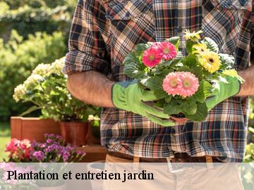 Plantation et entretien jardin les-loges-en-josas-78350 WT espace vert