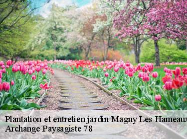 Plantation et entretien jardin  magny-les-hameaux-78114 Archange Paysagiste 78